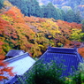 紅葉寺