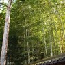 京都補完計画 其ノ捌拾捌