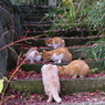 ｢ご飯の時間に｣