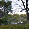 六義園・東京