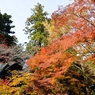 紅葉狩りin Takao