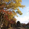 京都補完計画 其ノ玖拾陸