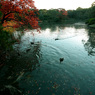 六義園・東京