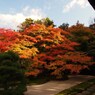 京都補完計画 其ノ玖拾玖