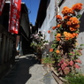 路地裏の秋