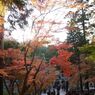 鎌倉 円覚寺