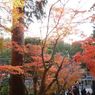 鎌倉 円覚寺