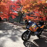 渋滞知らずの紅葉狩り