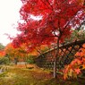 京都補完計画 其ノ佰捌