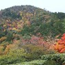 京都補完計画 其ノ佰拾肆