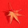紅の中の葉