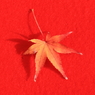 紅の中の葉