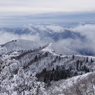 武奈ヶ岳西南稜、雪のトレイル