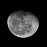 SDIM9254