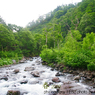 photo_shinryoku006a