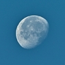 SDIM9257