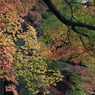 永観堂