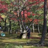 金閣寺