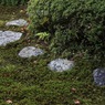 源光庵