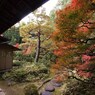 京都補完計画 其ノ佰弐拾柒