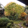 京都補完計画 其ノ佰弐拾捌