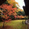 京都補完計画 其ノ佰弐拾玖