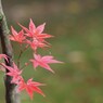京都補完計画 其ノ佰参拾