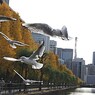 かもめ～が飛んだ～♪