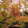 京都補完計画 其ノ佰参拾弐