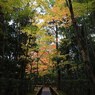 京都補完計画 其ノ佰参拾参