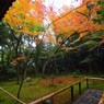 京都補完計画 其ノ佰参拾肆