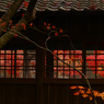 本土寺のもみじ２