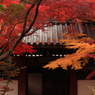 本土寺