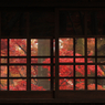 本土寺のもみじ９