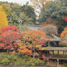 本土寺３
