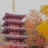 本土寺４