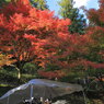 山頂音楽家　IZANAGI 