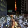 ROPPONGI