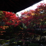 京都の紅葉2012　6