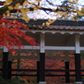京都の紅葉2012　10