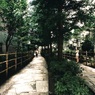 TOKYO SUMMER 7
