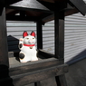 招き猫
