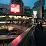 TOKYO SUMMER 11