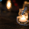 Candle Night "Dragon"