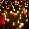 Candle Night ”Forest of Light”