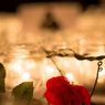 Candle Night ”Rose”
