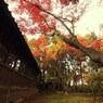 補完ノ補間 弐
