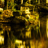 岐阜公園の庭園（池②）