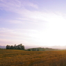 _MG_2146a