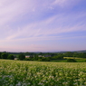 _MG_2140a